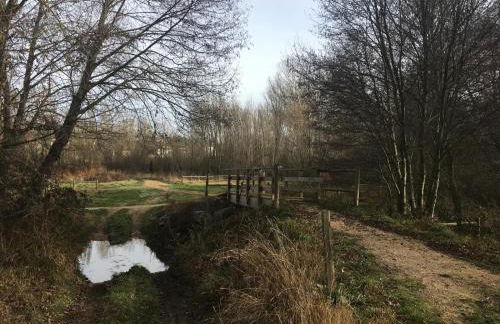 Boleta A 5 minutos de León, casa con jardín - Foto 65