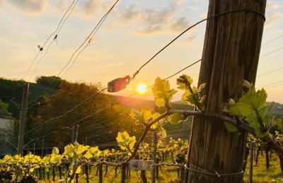 Ferienapartment Huber - Foto 28