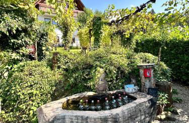 Schwarzwald Martini - Foto 20