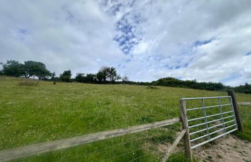 NEW Luxury Devon Barn Conversion - Foto 39