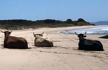 La Casa de Las Tres Calles - Foto 78