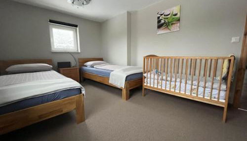 Holzhaus Junge in the Harz - Foto 4