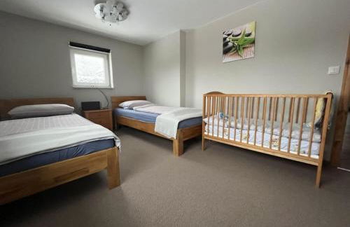 Holzhaus Junge in the Harz - Foto 4