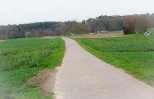 Ferienwohnung Spatzennest - Foto 24