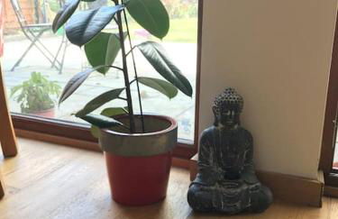 The Retreat, A relaxing getaway for couples - Foto 12