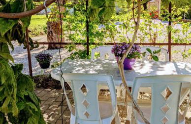 Au 157 - Locations Contrexéville - Photo 25