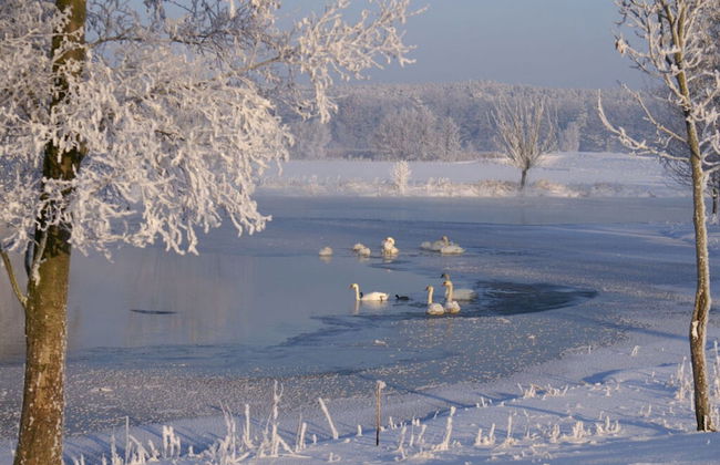 Holiday Home Deichkind on the Elbe Dike - Foto 20