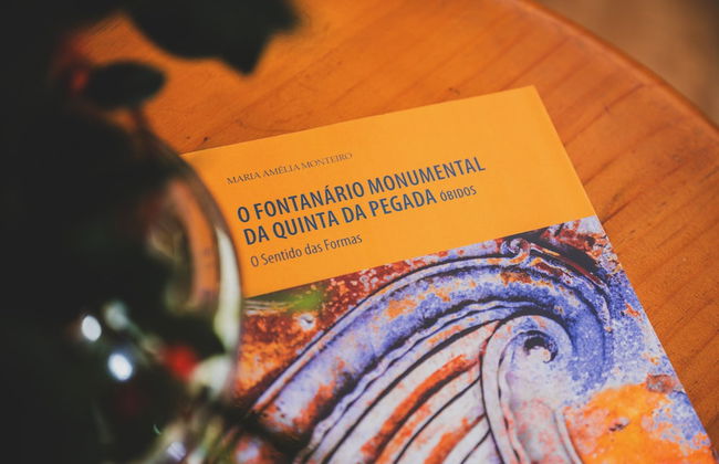 Casa de Campo da Quinta da Pegada - Foto 28