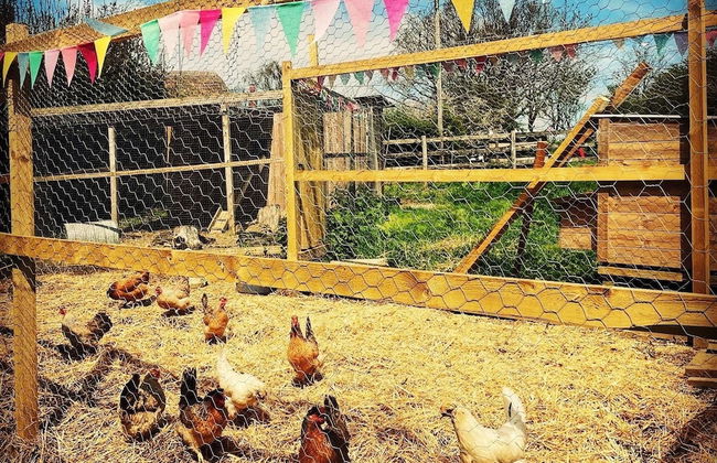 Nest and Nurture - Photo 43