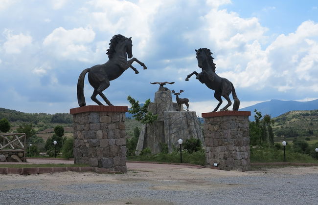 Obasya Kirsal Konaklama Tesisi - Special Class - Foto 13