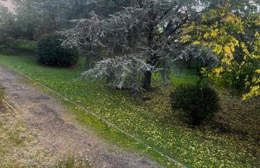 Appartement T3 Parking - Bordeaux - Foto 15