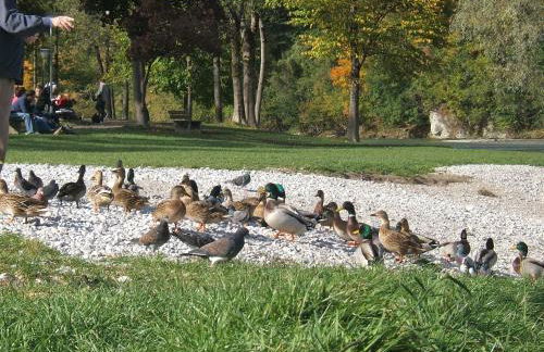 Malerhaus am Kolbergarten - Foto 42
