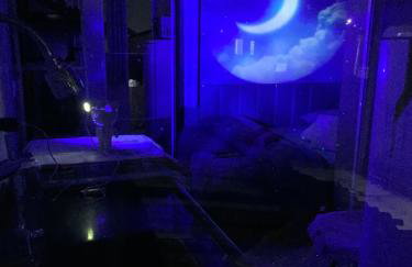 Miniapartamento - Photo 13