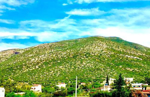 ATHENS RIVIERA Grand Panoramic Villa II Lagonissi - Foto 8