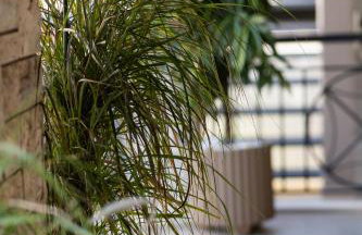 La Terra Nostra city - Foto 74