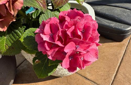 Modern Studio with Private Patio - Foto 24