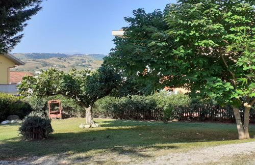 Pier Delle Vigne B&B - Foto 28