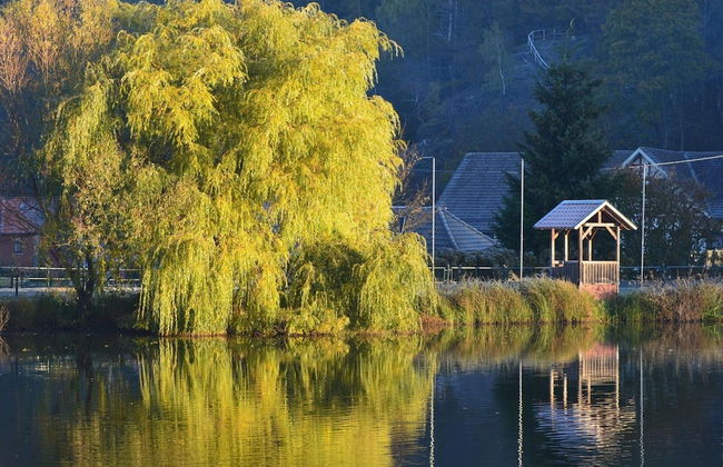 Doppelhaushaelfte in Hasselfelde - Foto 18