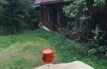 Chata filozofa pod Policą - Foto 29