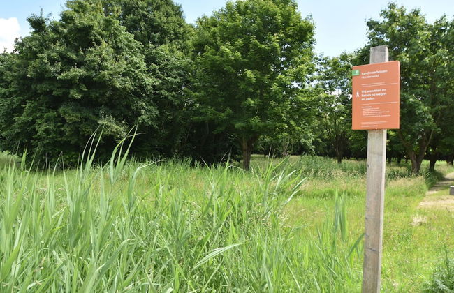 Holiday Home in Flevoland With Pool - Foto 17