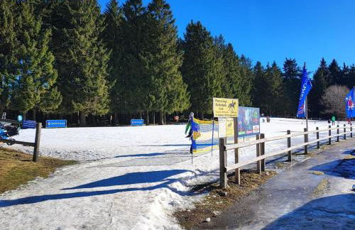 Ferienwohnung Wallner Rosi - Foto 22