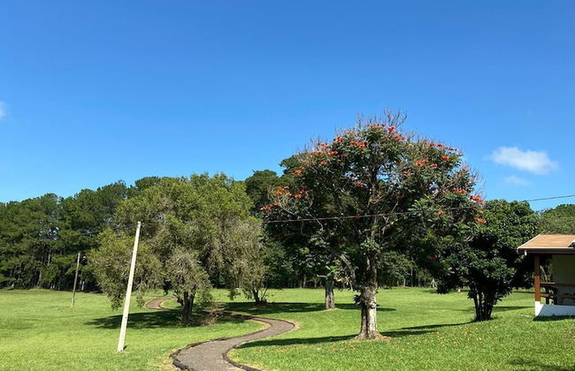 Vale das Águas Fazenda Resort - Photo 54