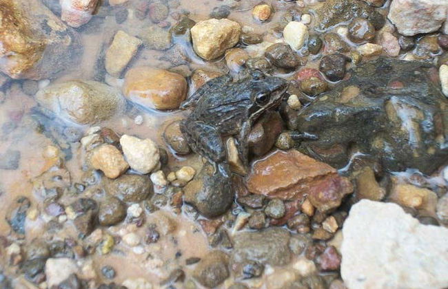 Randonnée à Abra de Canasí + Snorkeling - Photo 3