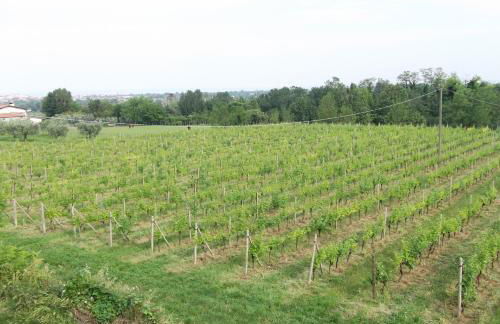 Villa Paradiso - Foto 24