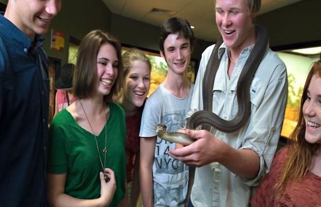 Crocosaurus Cove General Admission Tickets - Photo 5