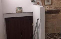 Le camelie - Foto 51