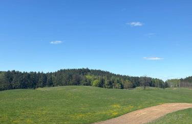 Agroturystyka Żółta Ostoja - Foto 37