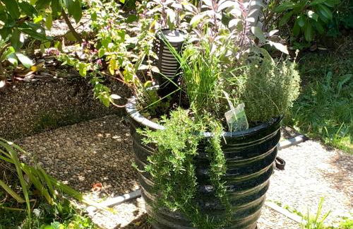 Ferienwohnung Buntspecht - Foto 37