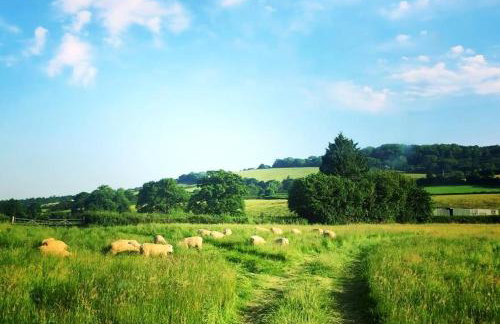 Cosy and unique Thatched Cottage on Dartmoor - Foto 17