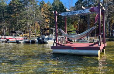 Cedaroma Lakeview cozy Cabin 6 Amazing Views - Photo 24