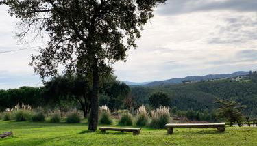 Cottage da Fonte Seca - Foto 2, Garden