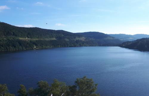 Haus Heidelberg - Foto 83