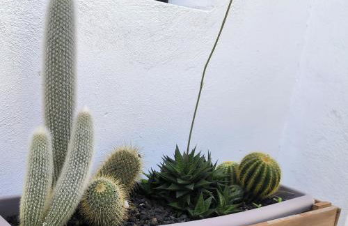 Apartamentos Guayonje Costa - Foto 24