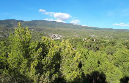 La Carriera, petite maison Provençale sud Ventoux, climatisée - Photo 24