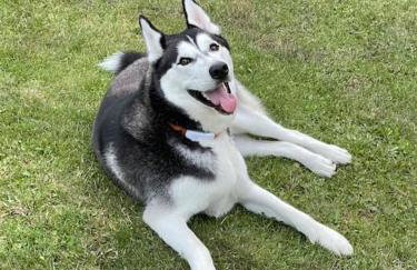 The Long Hall 2 bed ground floor annexed apartment - sleeps 6 - Foto 12