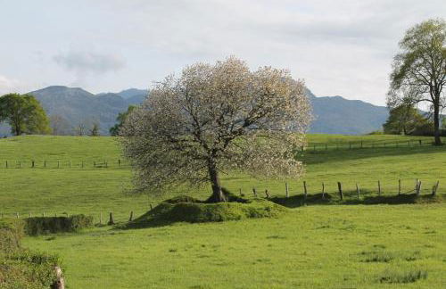 Casa de Aldea en el concejo de Nava, en el centro de Asturias - Foto 33