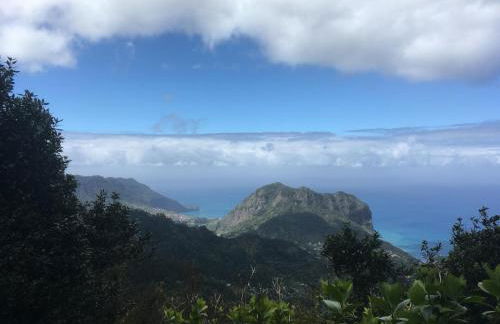 Quiet Place - Foto 37