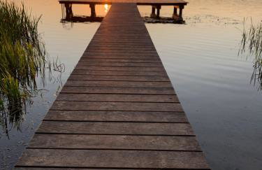 Forest Mood - Foto 70