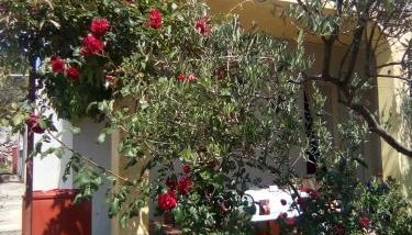 Holiday Home Zeljana - Foto 3