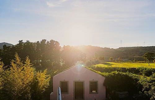 BioAgriturismo Antica Sena - Foto 45