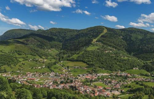 Appartement cosy à Bussang - Foto 12