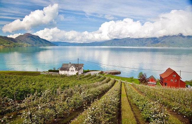 AMAZING HARDANGER FJORD: Private guided round trip from Bergen, 10 hours - Photo 11