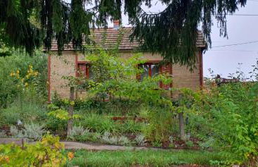 Ruralna kuća za odmor Pozojova hiža - Rural Holiday House - Foto 1