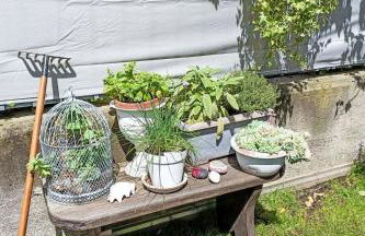 Apartment Olmo Garden Apartment by Interhome - Foto 25