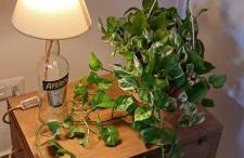 Maison Retrò Napoli - Foto 9