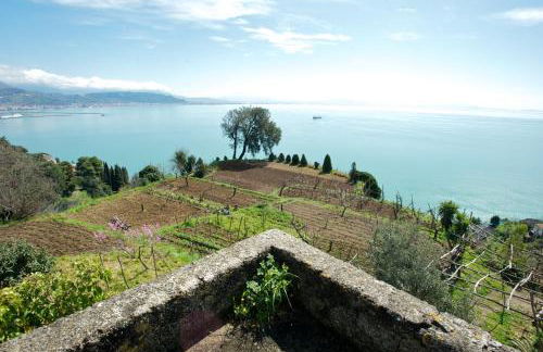 Sopra il Limoneto - Foto 27